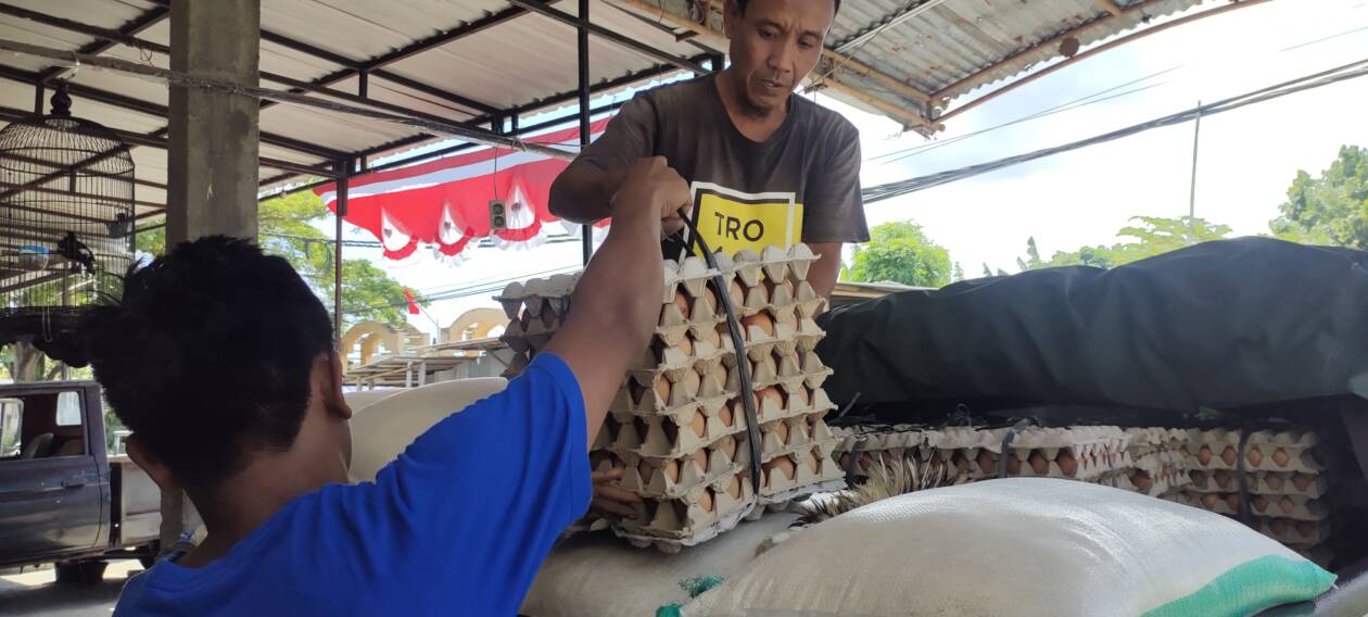 HARGA NAIK: Salah satu pengusaha telur di Lobar hendak mengirimkan telur kepada pelanggannya.(HABIBUL ADNAN/LOMBOK POST)