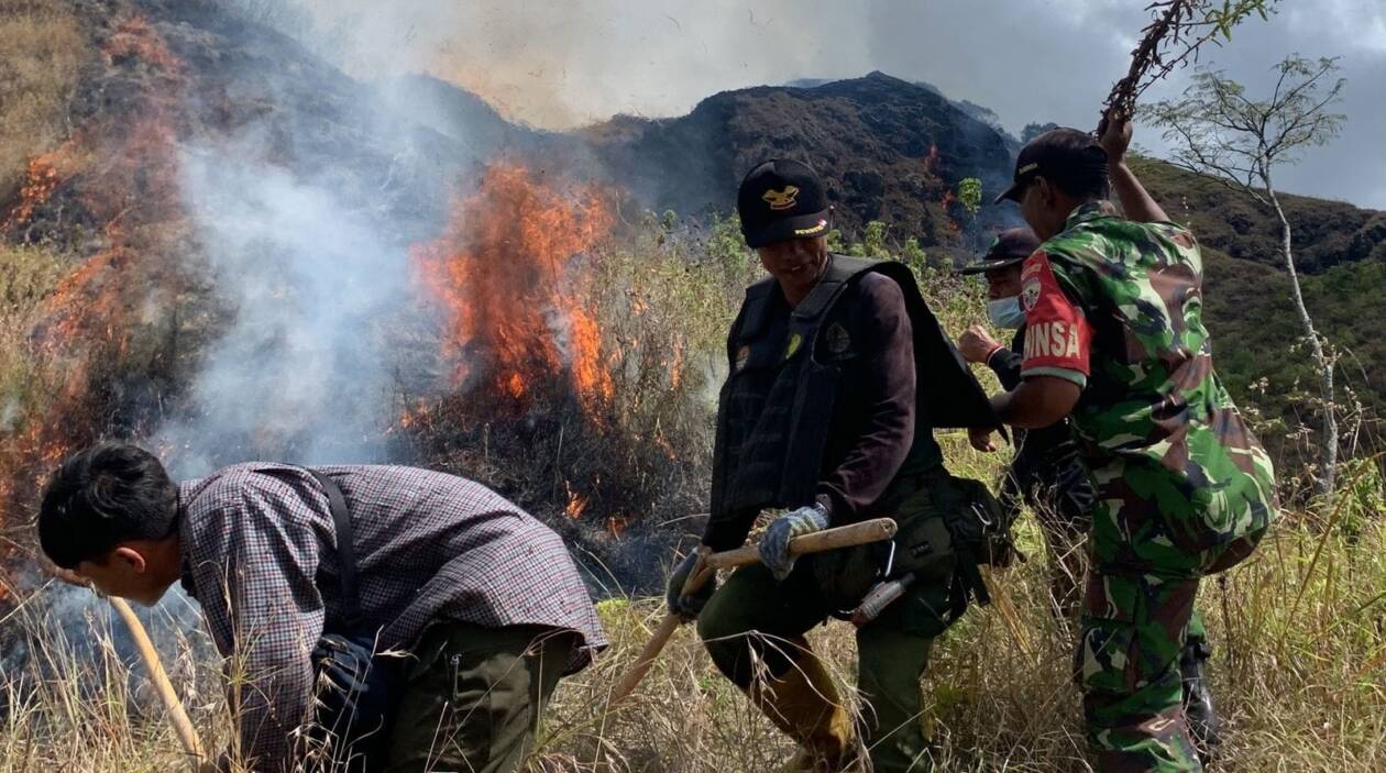 KEBAKARAN: Petugas berusaha memadamkan api yang membakar lahan di Gunung Mentar, Desa Sembalun Bumbung, Lombok Timur, Selasa (2/8). (TNGR untuk Lombok Post)