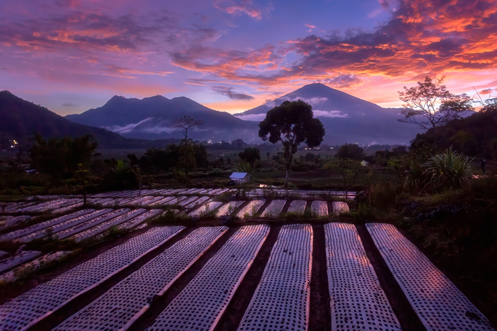 DESTINASI UNGGULAN: Kawasan Sembalun di kaki Gunung Rinjani menjadi salah satu tujuan wisatawan saat berkunjung ke NTB. (Ivan/Lombok Post)