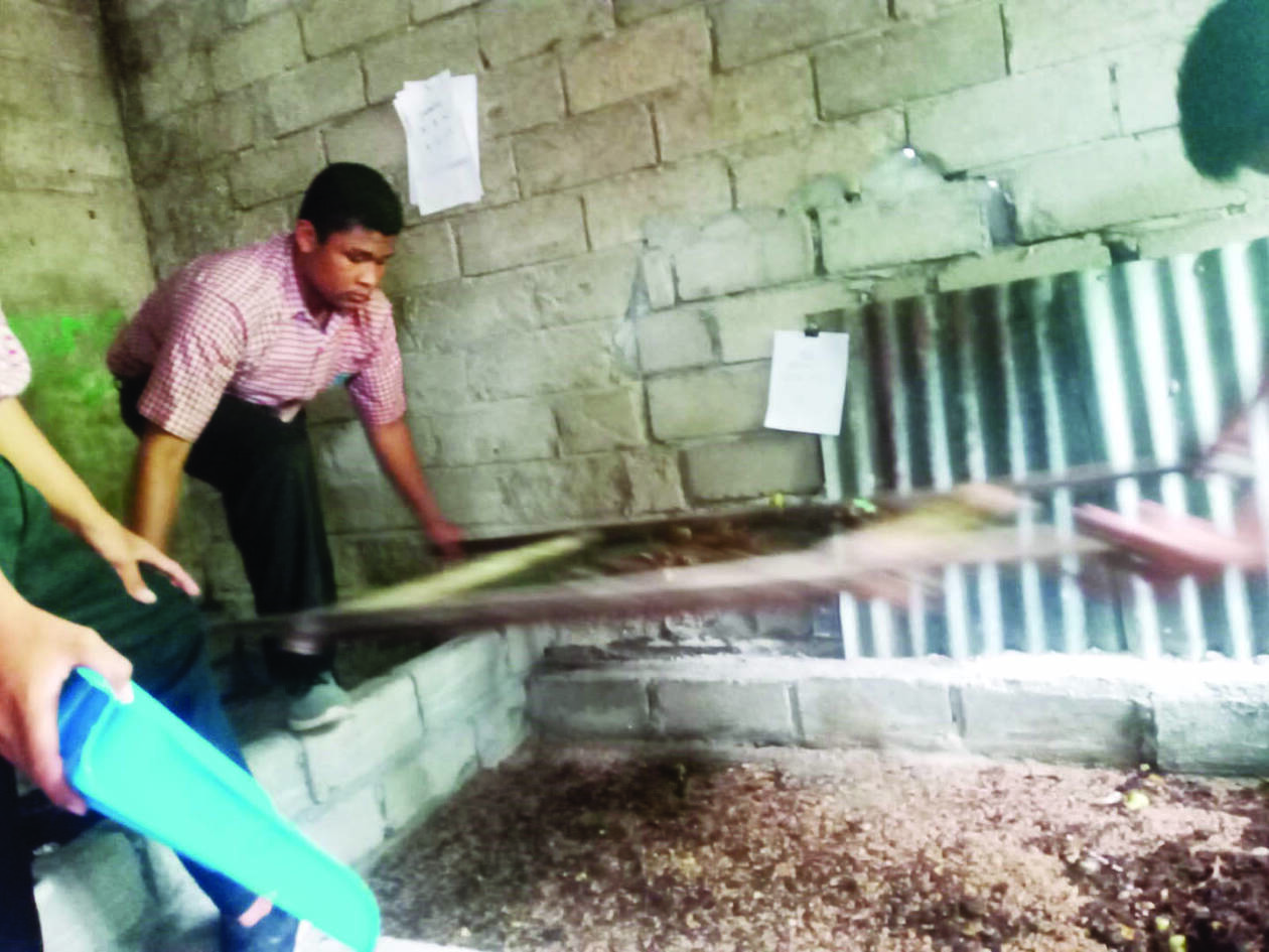 PANEN MAGGOT: Sejumlah siswa SMPN 10 Mataram panen maggot di sekolah setempat, kemarin. Budidaya maggot di sekolah ini dilakukan sejak tiga bulan lalu.( ROJAI/LOMBOK POST)