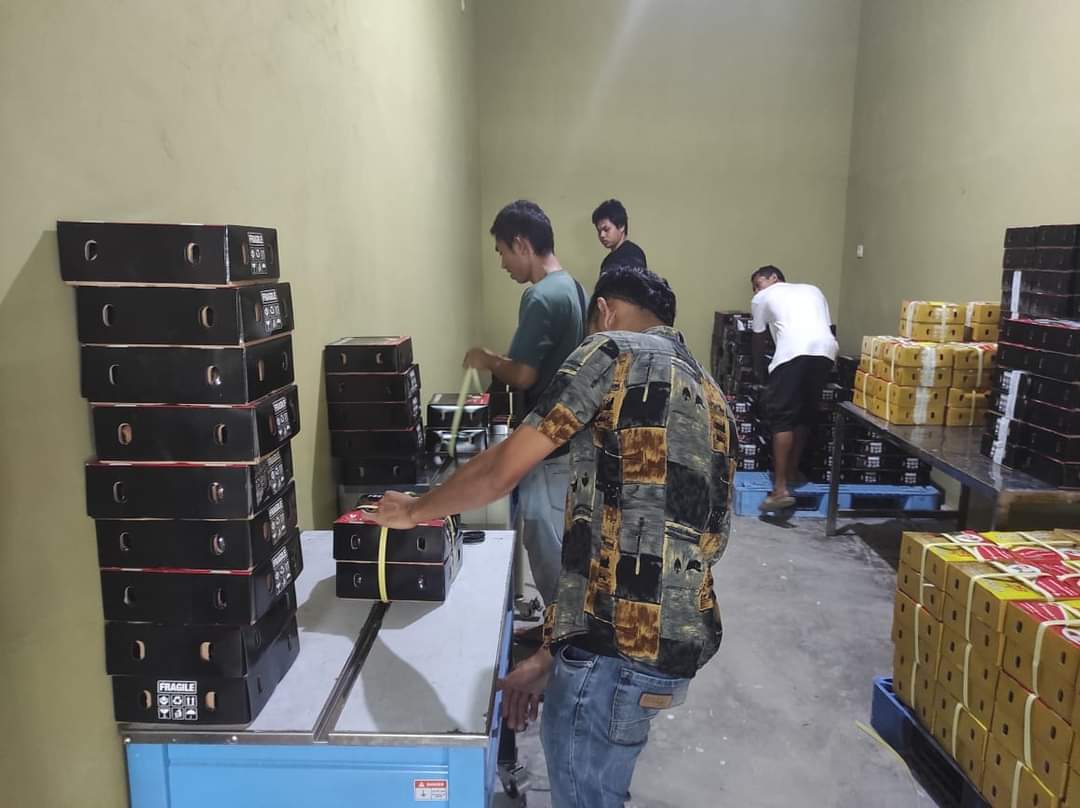 EKSPOR: Buah Manggis yang hendak dikirim ke Dubai. Buah-buahan asal Lobar diakui cukup diminati.(HABIBUL ADNAN/LOMBOK POST)