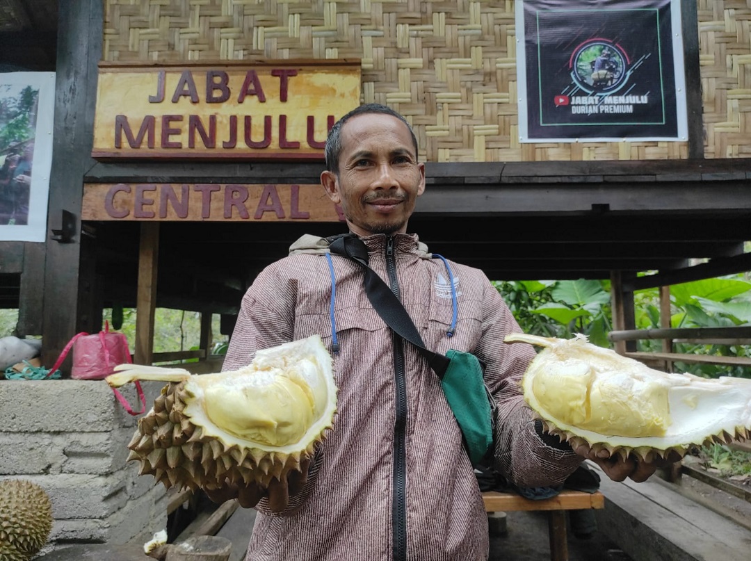 PETANI SUKSES: Petani durian asal Gangga, Jabat Manjulu menunjukkan rupa buah durian kane yang berhasil dikembangkannya.(FERIAL/LOMBOK POST)