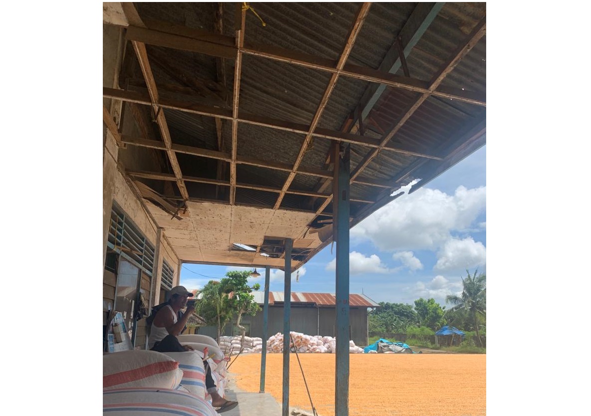 MASIH NORMAL: Fandi, di tempat penjemuran jagung KUD Petak, Gerung, Lombok Barat, (8/4) pekan lalu.(CHIA/LOMBOK POST)