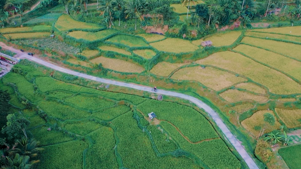 PESONA ALAM: Potret keindahan alam Desa Wisata Kembang Kuning, Kecamatan Sikur dari ketinggian. (Pemdes Kembang Kuning for Lombok Post)