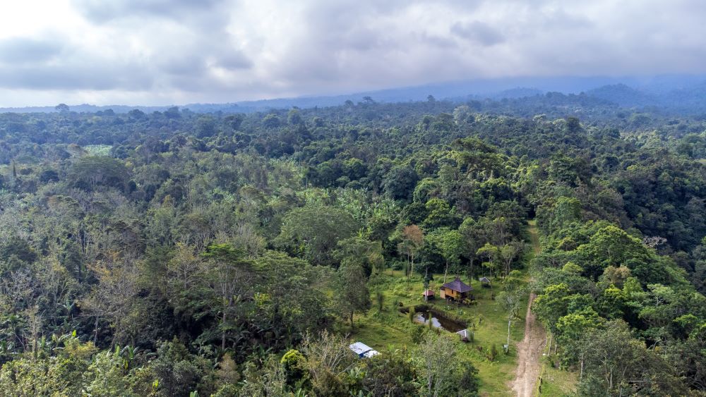 HUTAN RIMBA: Foto udara kondisi hutan yang nantinya akan dilalui kereta gantung, akhir pekan beberapa waktu lalu . IVAN/LOMBOK POST