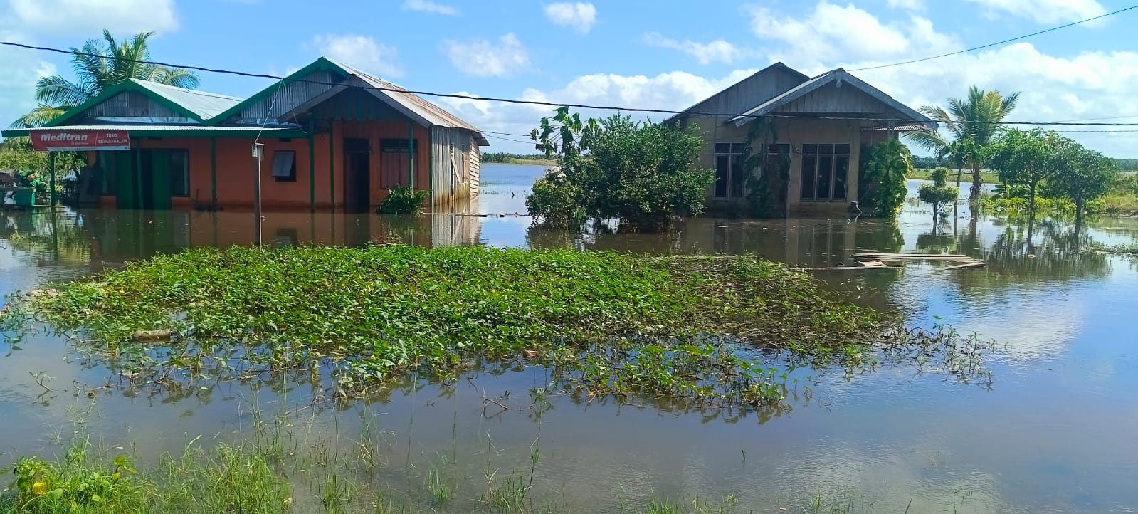 Kondisi banjir yang masih mengenangi rumah warga di Kampung Telaga Sari, Distrik Kurik, Kabupaten Merauke.