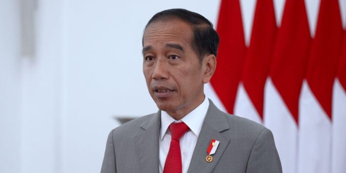 Presiden Joko Widodo (Jokowi) melakukan resuffle kabinet. Anak Jayapura jadi salah satu menteri yang dilantik. Ini sosoknya.
