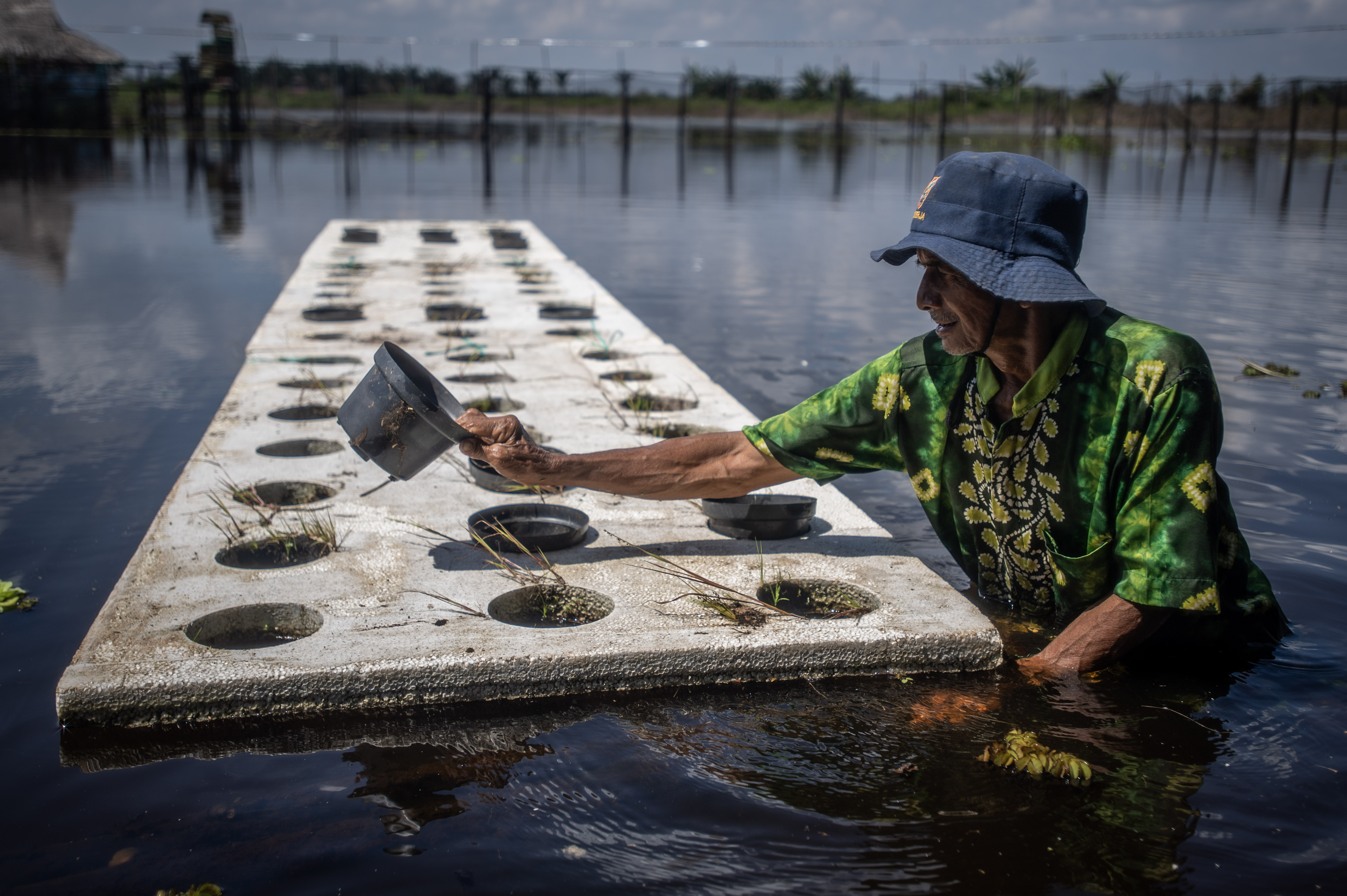 Petani menyiapkan media apung untuk menanam padi apung di Kabupaten Hulu Sungai Utara, Kalimantan Selatan.