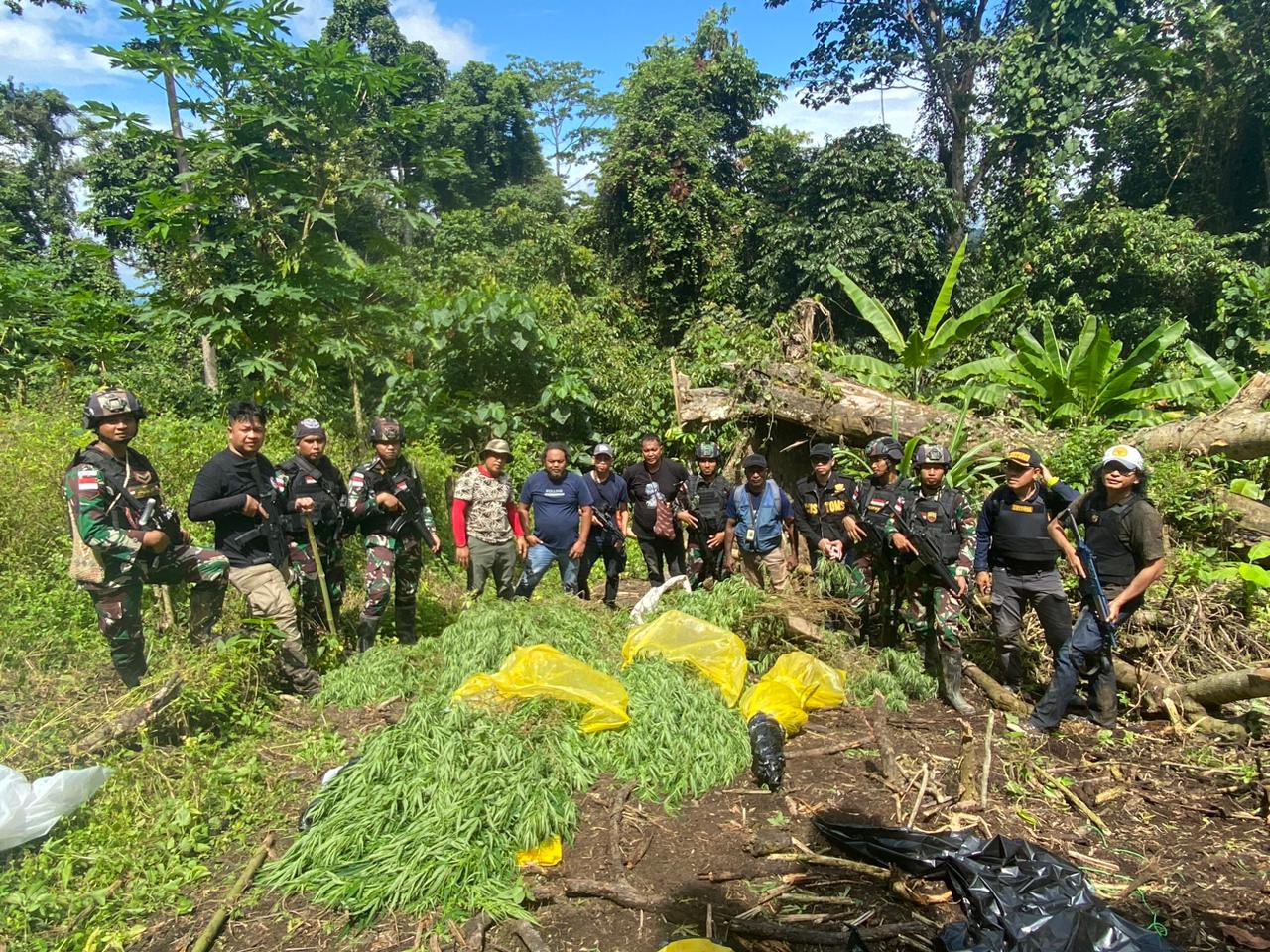 Satgas 122/TS Temukan Lahan Ganja Siap Panen Di Waris