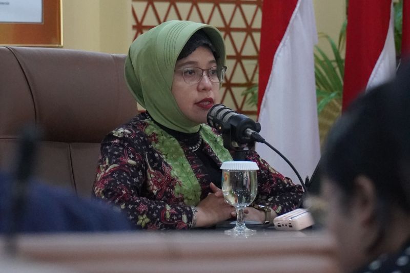 Plt Kepala Badan Pusat Statistik (BPS) Amalia Adininggar Widyasanti. ANTARA/HO-BPS