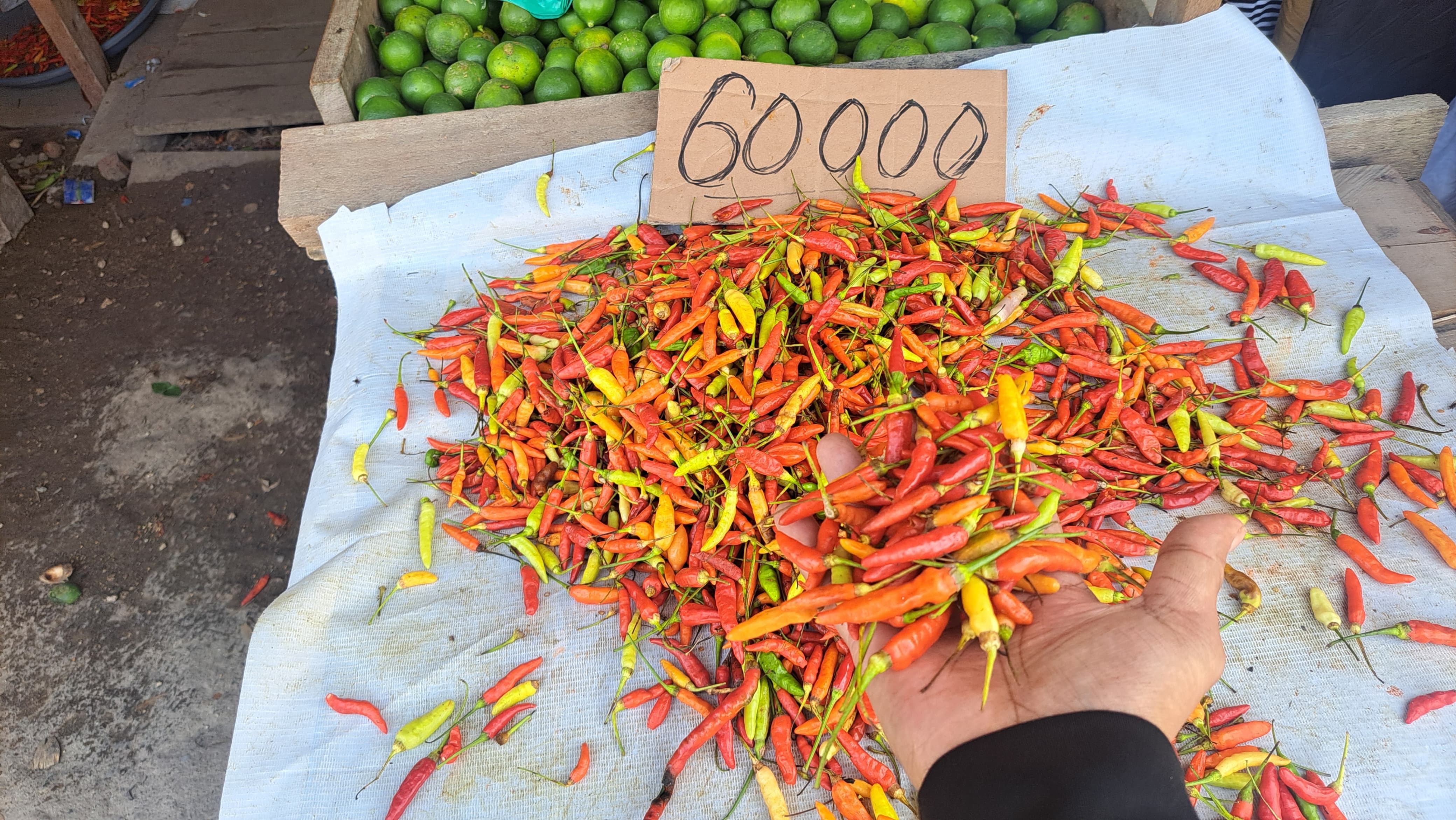 Cabai dan tomat yang dijual di Pasar Youtefa, Kamis (6/2/2025).(CEPOSONLINE.COM/TAKIM)