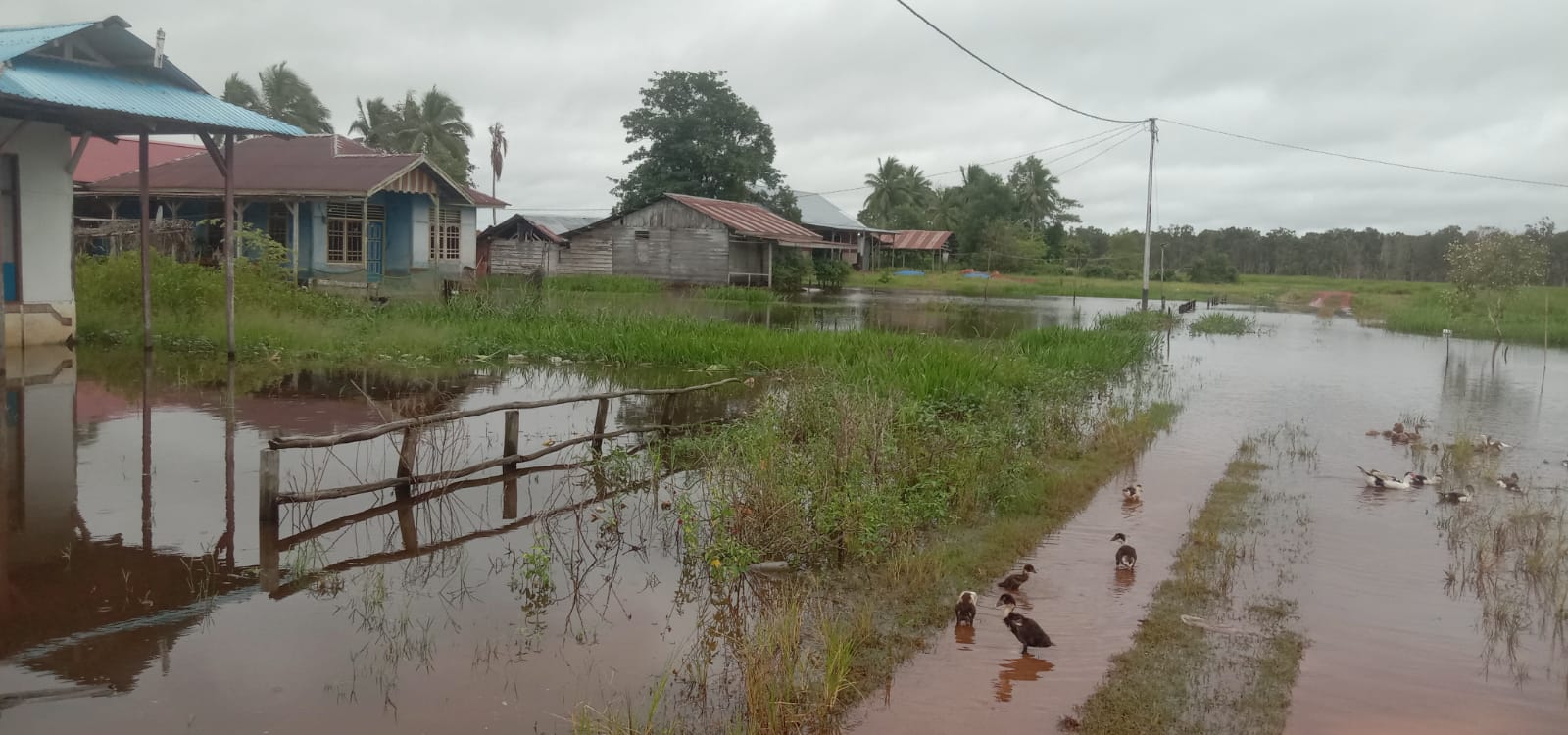 Sejumlah rumah di Kampung Sumber Rejeki atau Salor III Distrik Kurik terendam banjir, Rabu (12/3/2025). (CEPOSONLINE.COM/ISTIMEWA)