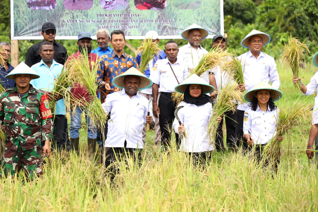 Bupati Sarmi Dominggus Catue SKM.MKes bersama Wakil Bupati Hj. Jumriati SH saat melakukan panen raya padi ladang varietas Inpari 30, program Pepeda 4 di Kampung Nengke, Kabupaten Sarmi