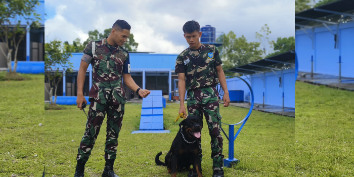Satuan Brigade Anjing milik POM TNI AU Lanud Manuhua Biak, usai melakukan latihan agility dan pelacakan di Kandang dan tempat latihan para Brigade Anjing di Pom AU Lanud Mnauhua Biak, Jumat (16/5).