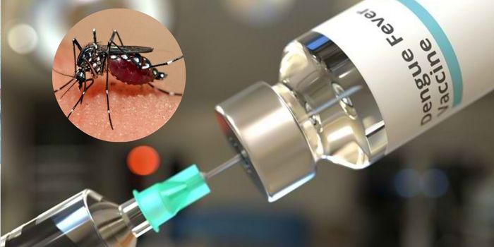 Ilustrasi vaksinasi deman berdarah dengue (DBD)