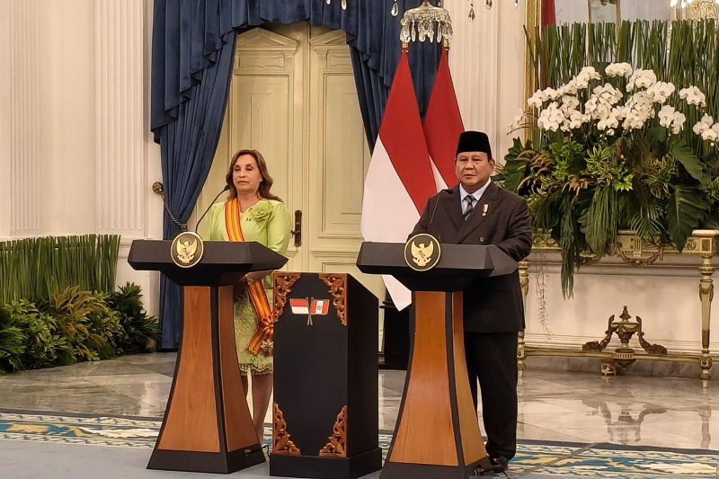 Presiden Prabowo Subianto (kedua kiri) dan Presiden Republik Peru Dina Ercilia Boluarte Zegarra (kiri) menyampaikan paparan dalam konferensi pers usai pertemuan bilateral di Istana Merdeka.