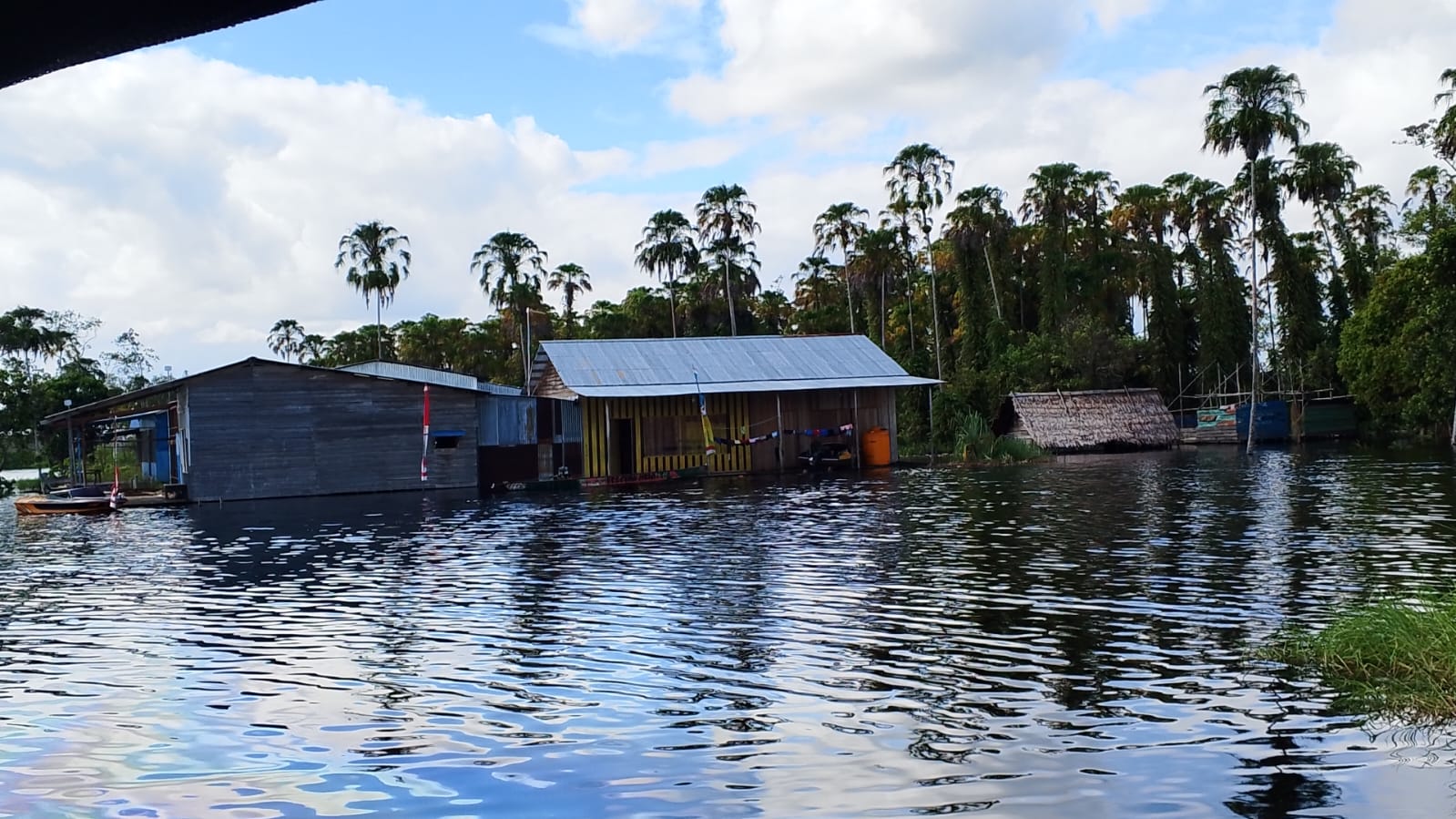 Rumah warga di Kampung Bifo, Distrik Passue Bawah, Kabupaten Mappi, Provinsi Papua Selatan yang terendam banjir, Rabu (11/9/2025).(CEPOSONLINE.COM/ISTIMEWA).