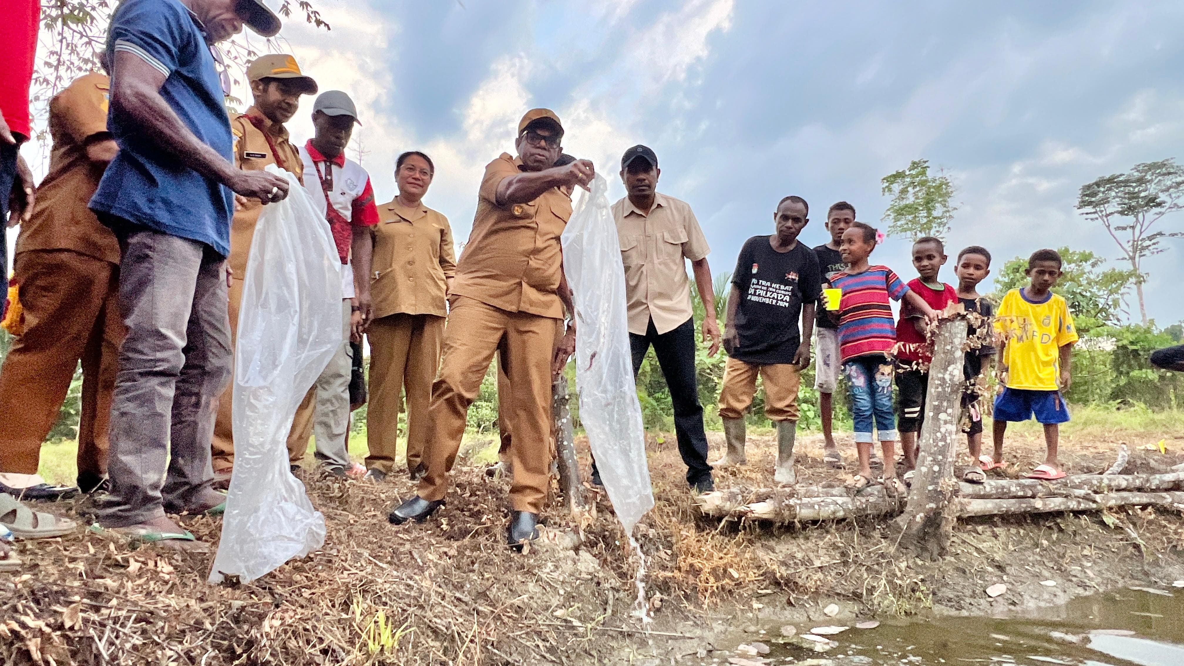 Bupati Keerom, Piter Gusbager saat melepas bibit ikan lele di salah satu kolam masyarakat di Kampung Bibiosi, Distrik Arso, Selasa (7/10/2025). (CEPOSONLINE.COM/ERIANTO).