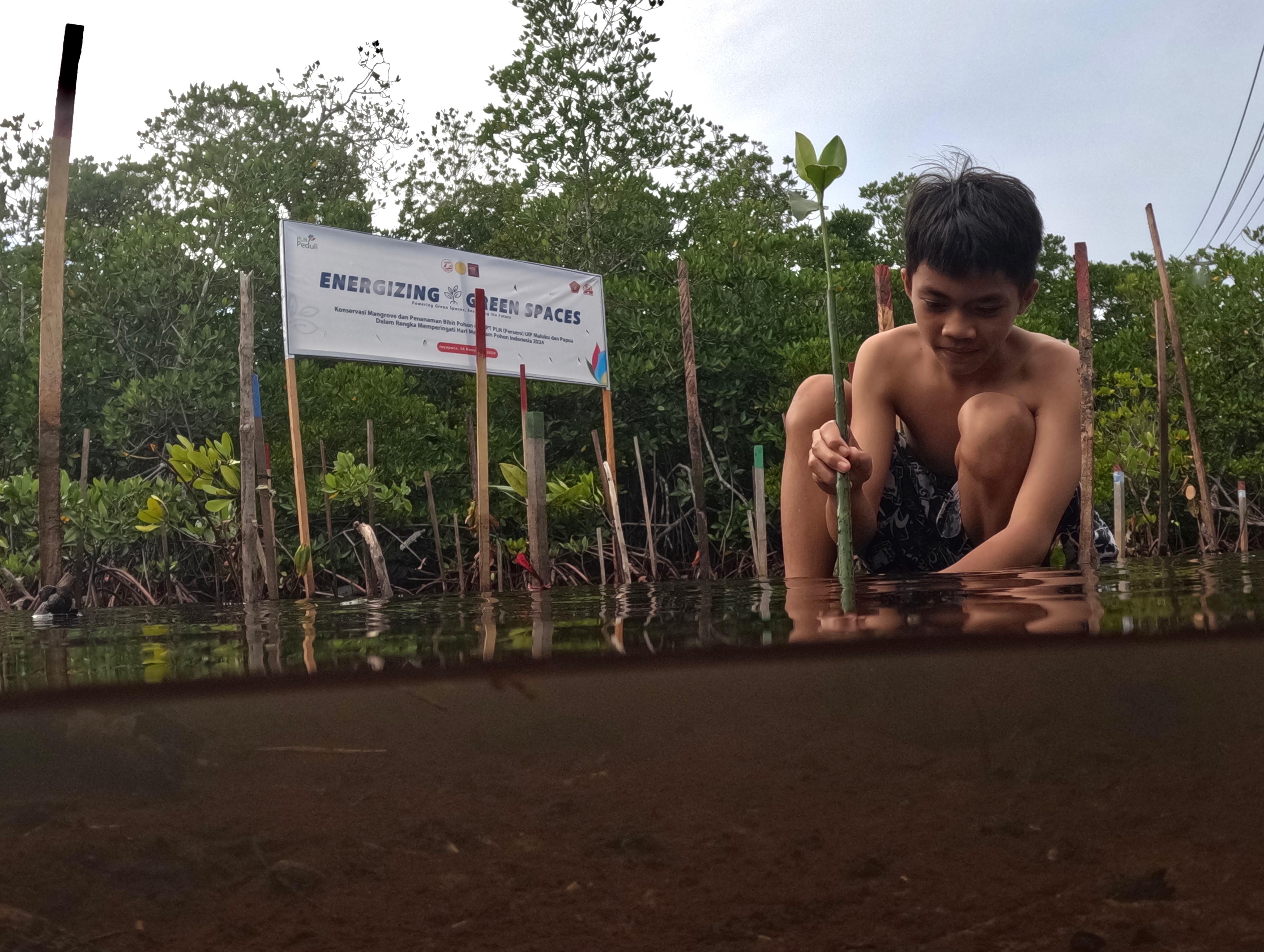 Salah satu anak di pesisir Teluk Youtefa saat merawat dan menanam bibit Mangrove di Hutan Perempuan. PLN ikut berperan dalam menjaga kelestarian Hutan Perempuan. (CEPOSONLINE.COM/ERIANTO).