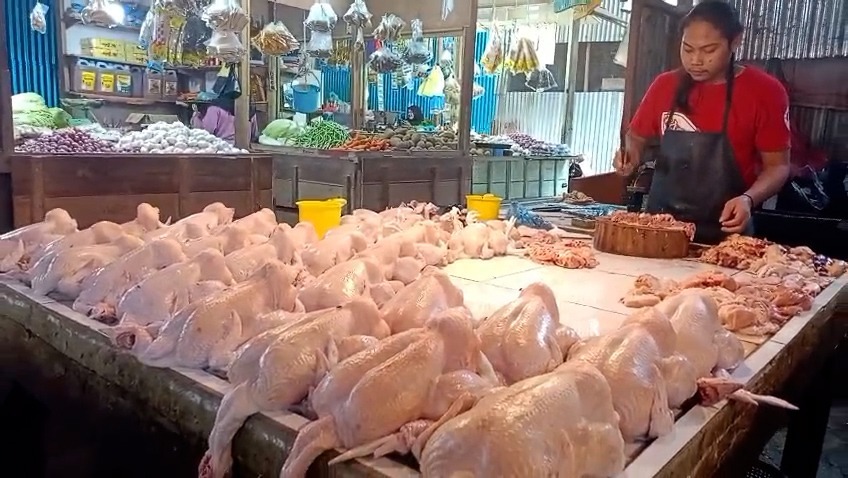 Pedagang tengah menjajakan ayam potong di Pasar Youtefa Abepura. (CEPOSONLINE.COM/PRIYADI)