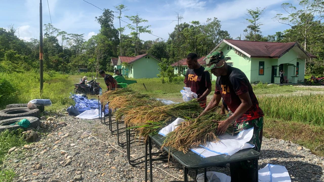 Komandan Yo nif 754/ENK bersama Forkopimda saat berswafoto dalam acara panen padi di Mako Yonif 754/ENK Kompi Bantuan, Rabu (21/1/2026), (Foto: CEPOSONLINE.COM/Moh. Wahyu Welerubun).