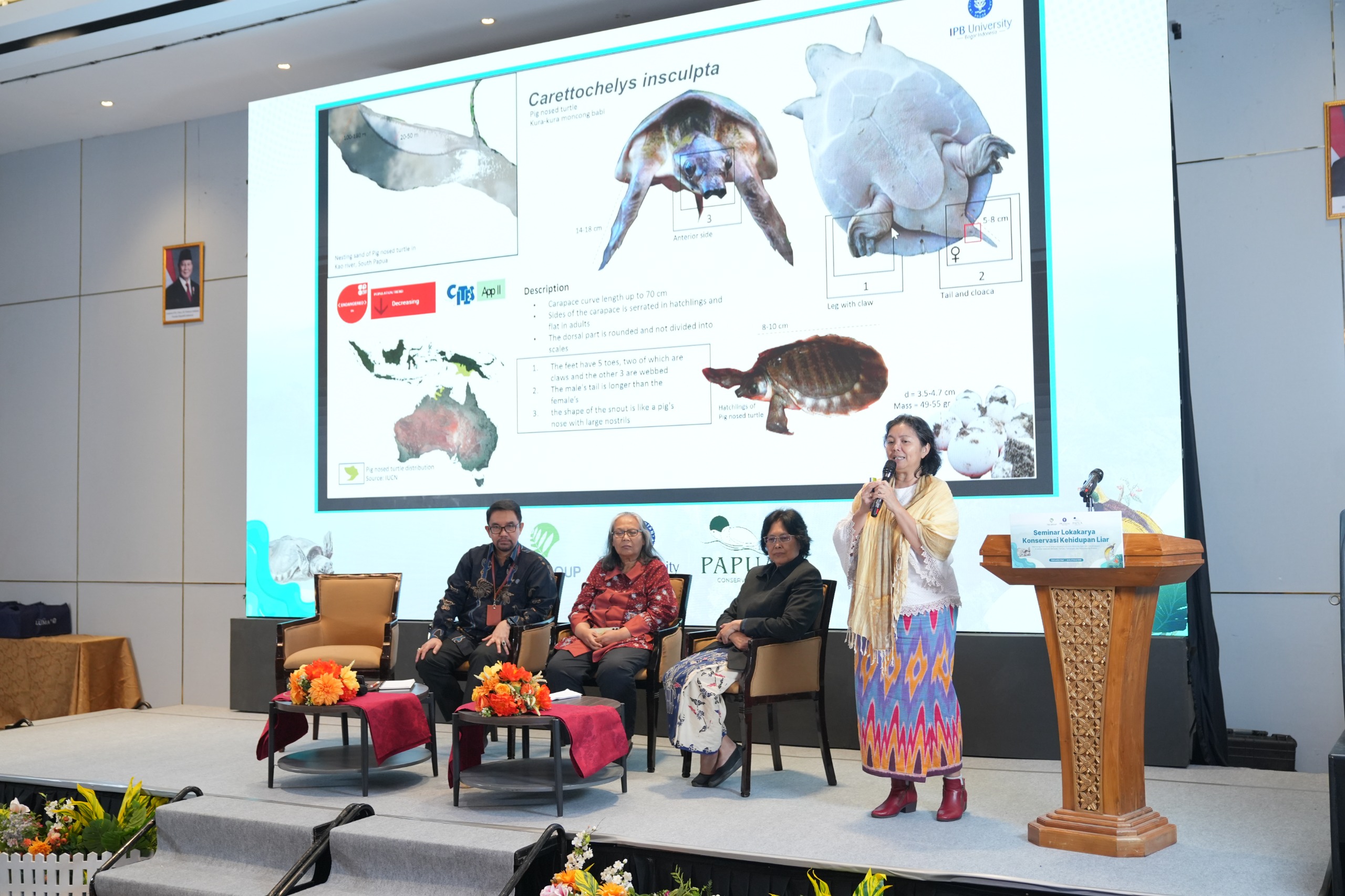 IPB&ndash;TSE Ungkap Hasil Riset Konservasi Cenderawasih dan Kura-kura Moncong Babi di Papua Selatan