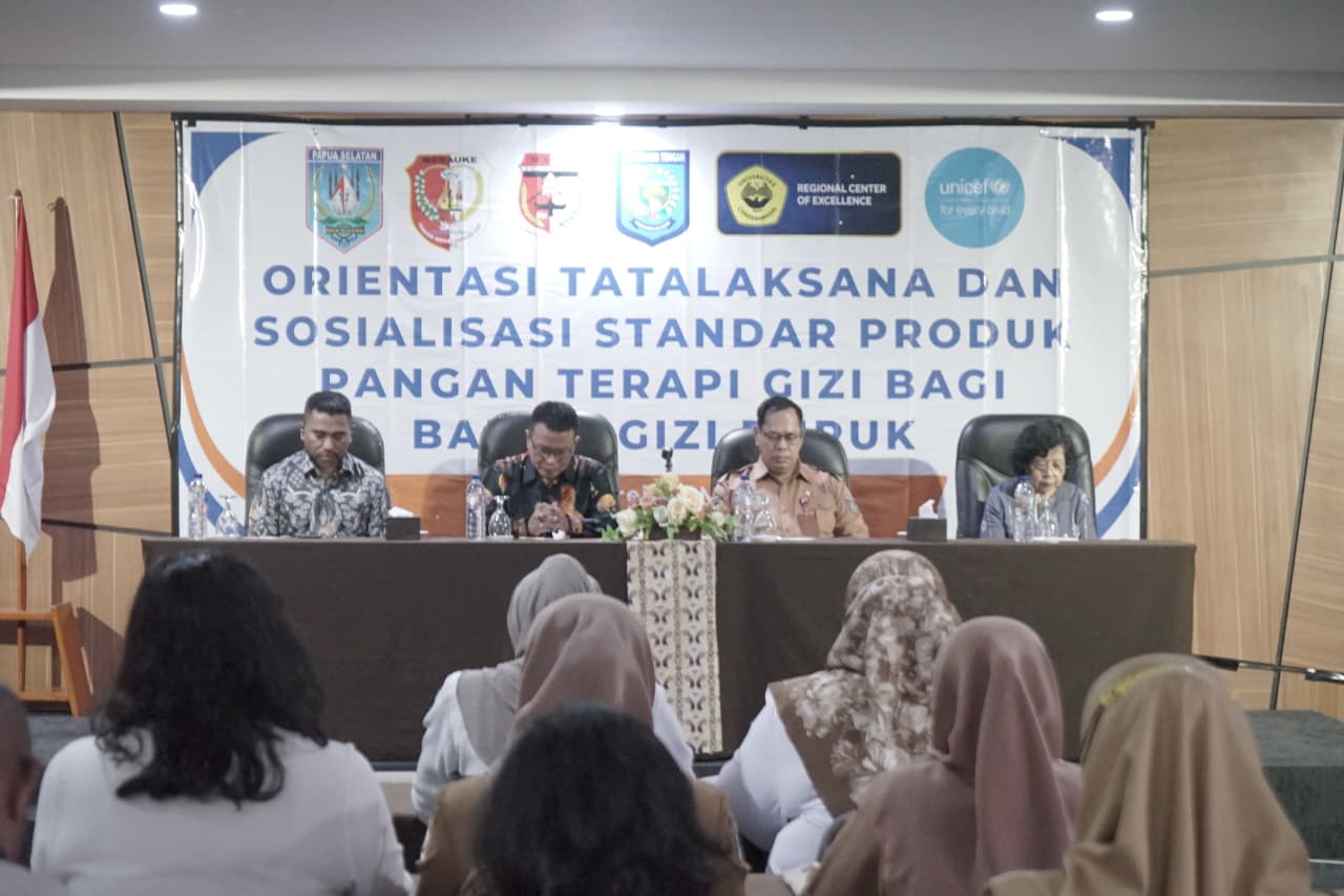 Orientasi tata laksana dan sosialisasi standar produk pangan terapi gizi bagi balita gizi buruk yang digelar Pemprov Papua Selatan kerja sama Uncen dan Unicef di Merauke, Selasa (10/3/2026).