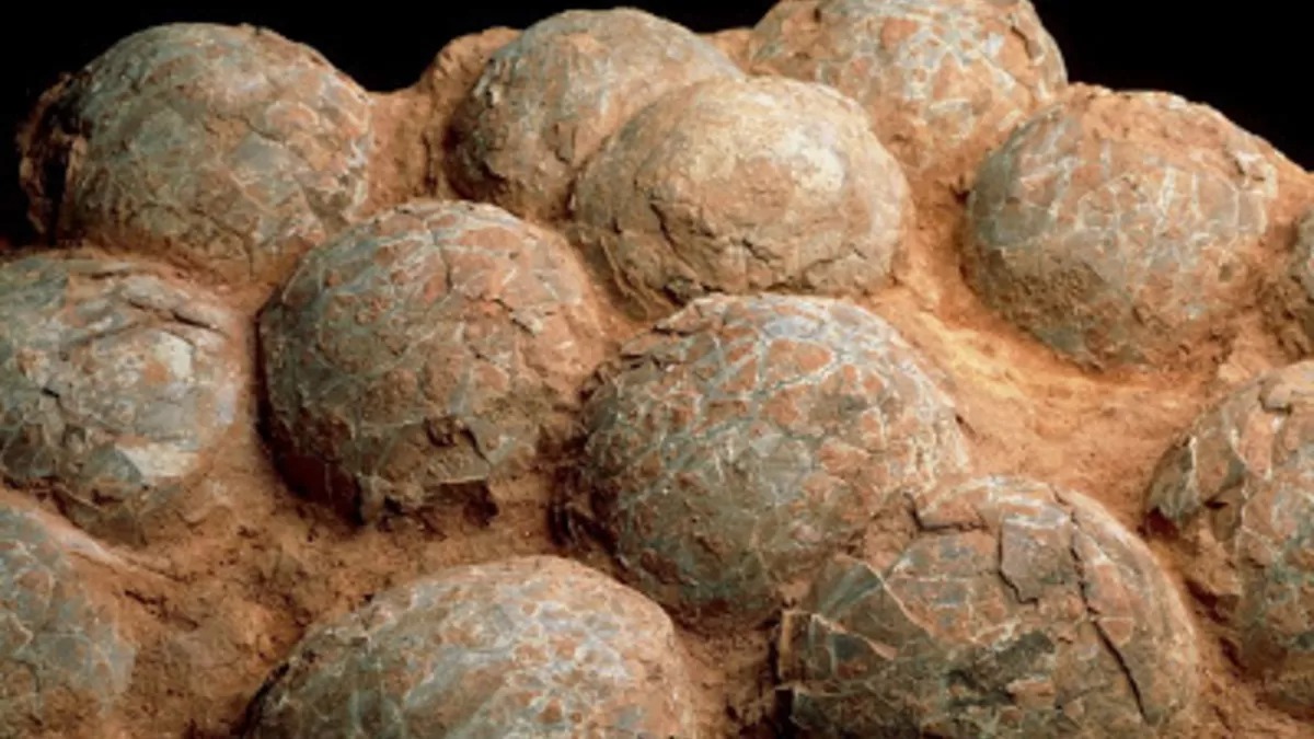 Ilustrasi penemuan telur Dimosaurus di Prancis. (Foto: Laman BSKDN Kemendagri)