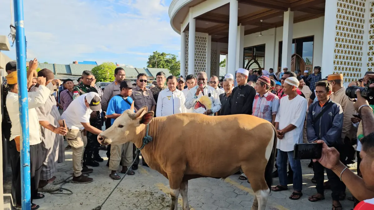 Wali Kota Jayapura, Abusai Rollo didampingi Wakil Wali Kota, Rustan Saru saat menyerahkan secara simbolis sapi kurban di Masjid Grand Rollo, Senin (25/5/2026). (CEPOSONLINE.COM/HANS PALEN).