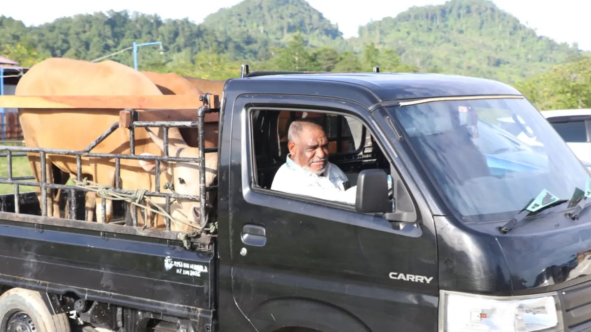 Abisai Rollo: Bantuan Hewan Kurban Merupaka Jembatan Silaturahmi antara pemerintah dan warganya (CEPOSONLINE.COM/MUSTAKIM ALI).