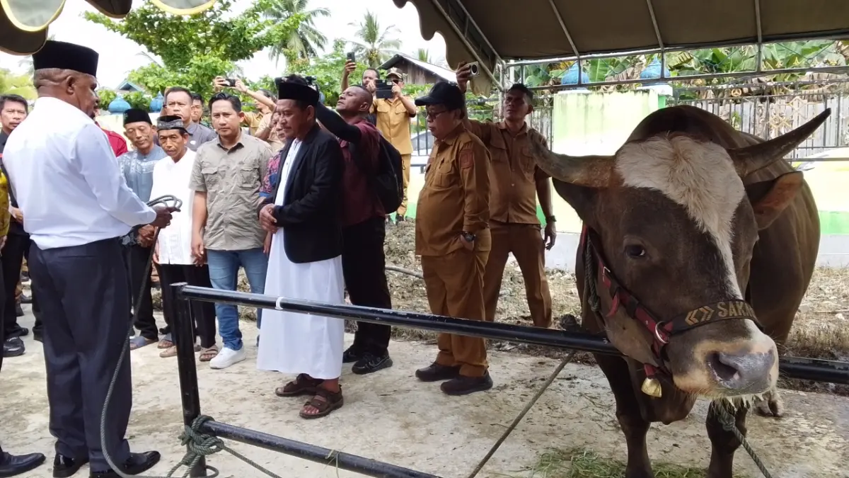 Bupati Jayapura Yunus Wonda saat menyerahkan bantuan sapi kurban dari Presiden RI di Masjid Ar- Ridah Kampung  Benyom Jaya 1, Distrik Nimbokrang, Kabupaten Jayapura, Selasa (26/5/2026).