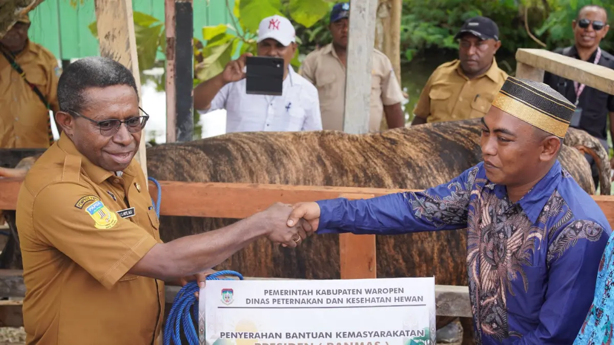 Bupati Waropen, Drs. Fransiscus Xaverius Mote, M.Si saat menyerahkan bantuan sapi dari Presiden RI Prabowo Subianto dari program Banmas Hewan Kurban di Masjid Toriqul Huda, Kampung Sawara Jaya SPVI, Selasa (26/5).&nbsp;