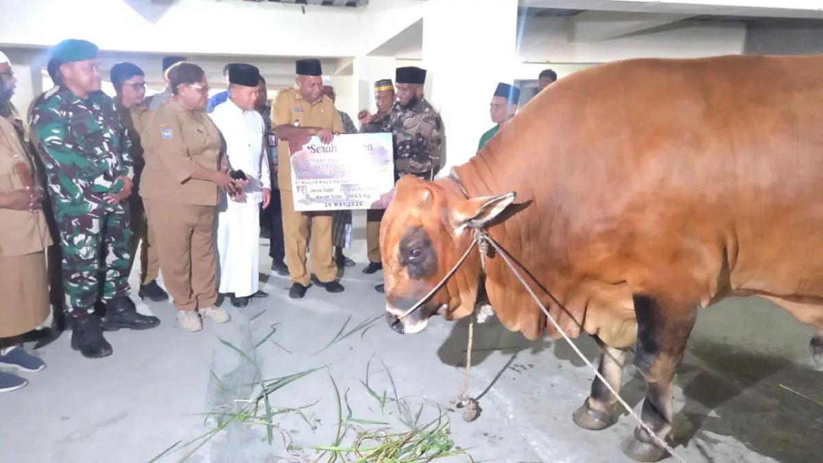 Gubernur Papua Matius D. Fakhiri menyerahkan bantuan hewan kurban dari Presiden Prabowo Subianto kepada pengurus Masjid Raya Baiturrahim, Selasa (26/5/2026).