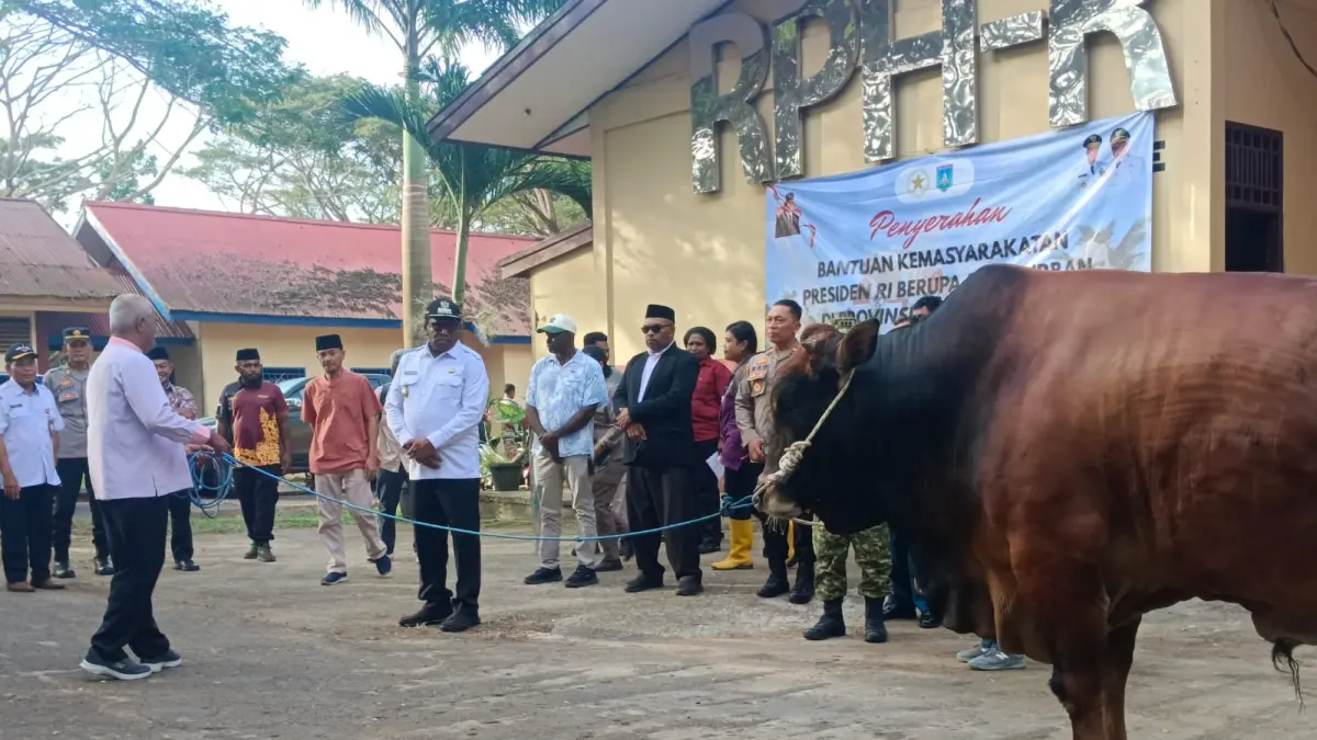 Gubernur Papua Selatan Apolo Safanpo diwakili Asisten II Bidang Ekonomi dan Keuangan Provinsi Papua Selatan Sunarjo menyerahkan bantuan hewan kurban dari Presiden Republik Indonesia Pabowo Subianto di Rumah Potong Hewan (RPH) Rumenansia Merauke, Selasa (26/5/2026).