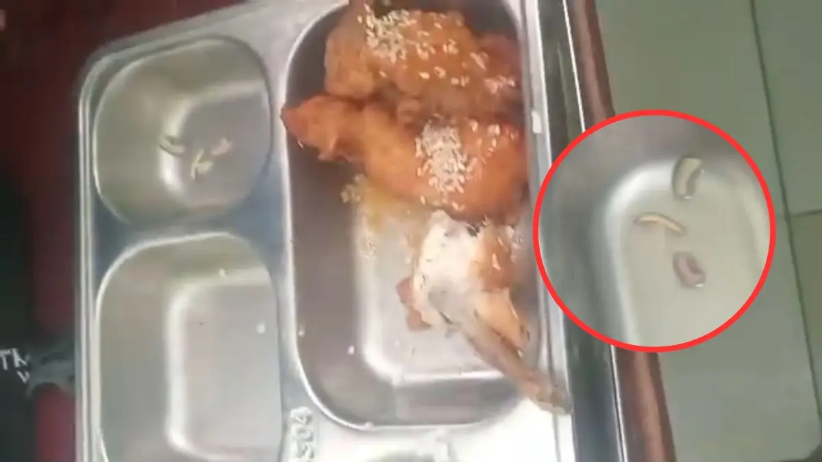 Video Viral: Menu MBG Diduga Berulat di Salah Satu SMP di Waropen, Siswa Lapor ke Presiden