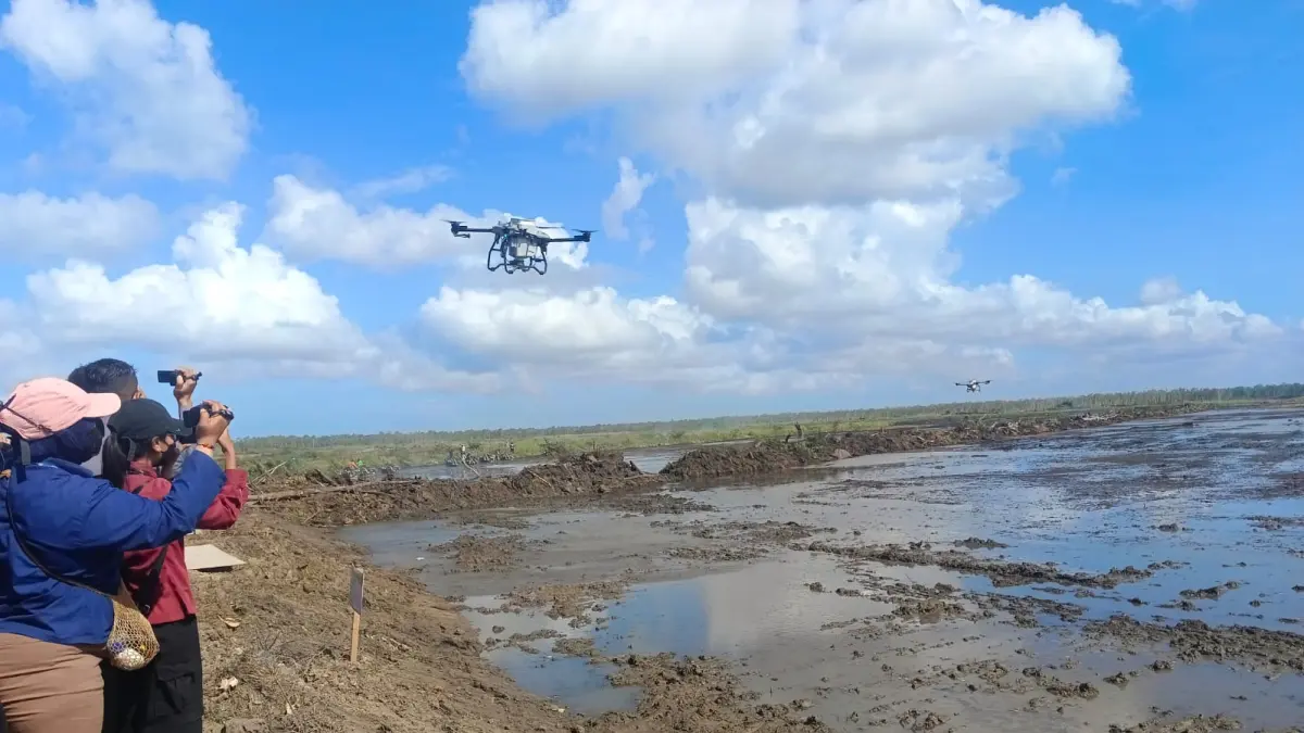 Penanaman bibit padi pada cetak baru sawah rakyat di Merauke dengan menggunakan drone yang disaksikan langsung Menteri Pertanian Andi Amran Sulaiman, di Kampung Waninggap Kai Merauke, Sabtu (4/7/2026 (CEPOSONLINE.COM/SULO)&nbsp;