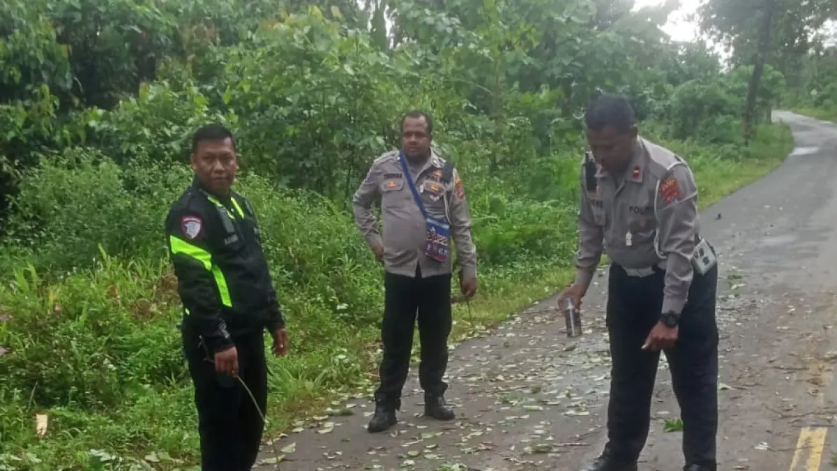Polisi &nbsp;melaksanakan Olah TKP di lokasi kecelakaan, tepatnya di Jalan Poros SP V - SP XIII, Distrik Iwaka, Kabupaten Mimika, pada Sabtu pagi (11/7/2026). (Foto: Istimewa).