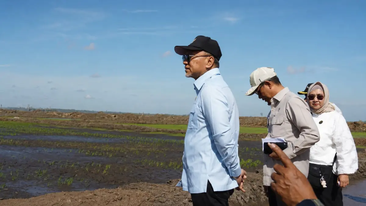 Menko Pangan Zulkifli Hasan saat meninjau cetak sawah baru di KPSEAN Wanam, Distrik Wanam, Merauke, Selasa (14/7/2026)&nbsp;
(CEPOSONLINE.COM/ISTIMEWA)&nbsp;