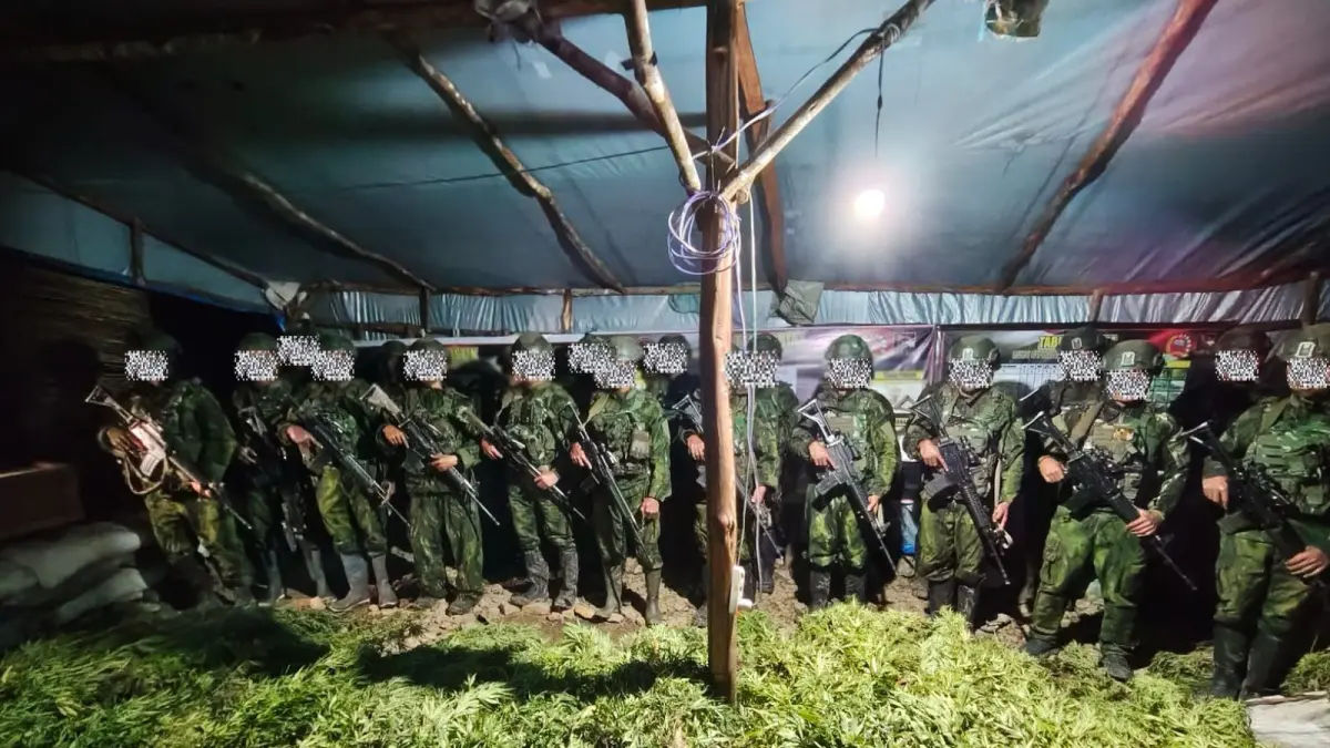 Personel Koops TNI Habema menemukan ladang ganja di dua lokasi di Kabupaten Yahukimo, Papua Pegunungan, Senin, 13 Juli 2026. (Foto: CEPOSONLINE.COM/KOOPS TNI HABEMA). &nbsp;
