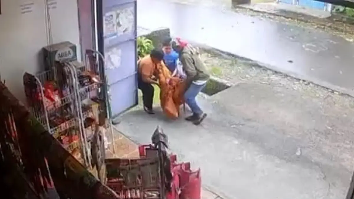 Tangkapan layar hasil rekaman CCTV yang memperlihatkan aksi pembegalan terhadap seorang ibu rumah tangga di Jalan Rambutan, Jalur 2, SP 2, Kelurahan Timika Jaya, Mimika, Papua Tengah, Senin (20/7/2026).&nbsp;