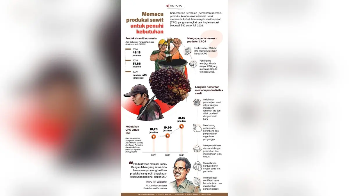 INFOGRAFIS: Memacu produksi sawit untuk penuhi kebutuhan