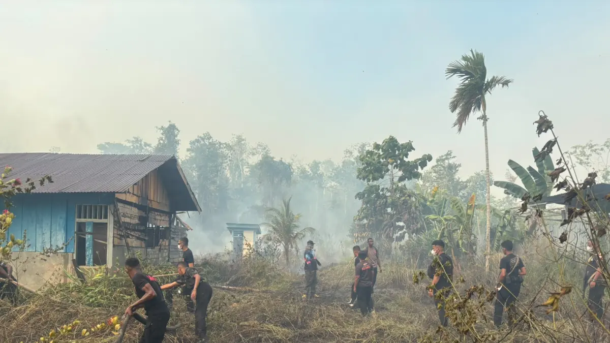 Personil Gabungan dari Polda Papua Tengah saat membantu masyarakat padamkan Api yang meluas di Nabire barat. (CEPOSONLINE.COM/HUMAS POLDA PAPUA TENGAH)