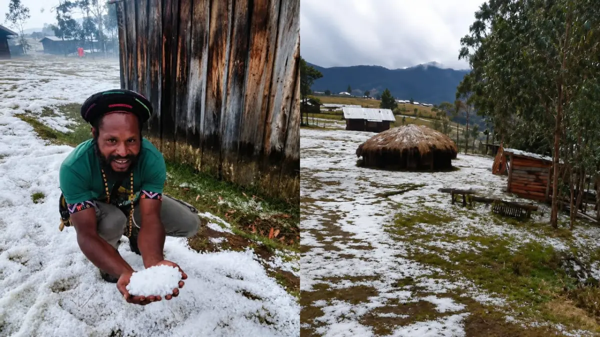 Dampak El Nino dan krisis iklim yang terjadi di beberapa daerah di tanah Papua. (CEPOSONLINE.COM/KOALISI HAM PAPUA)&nbsp;