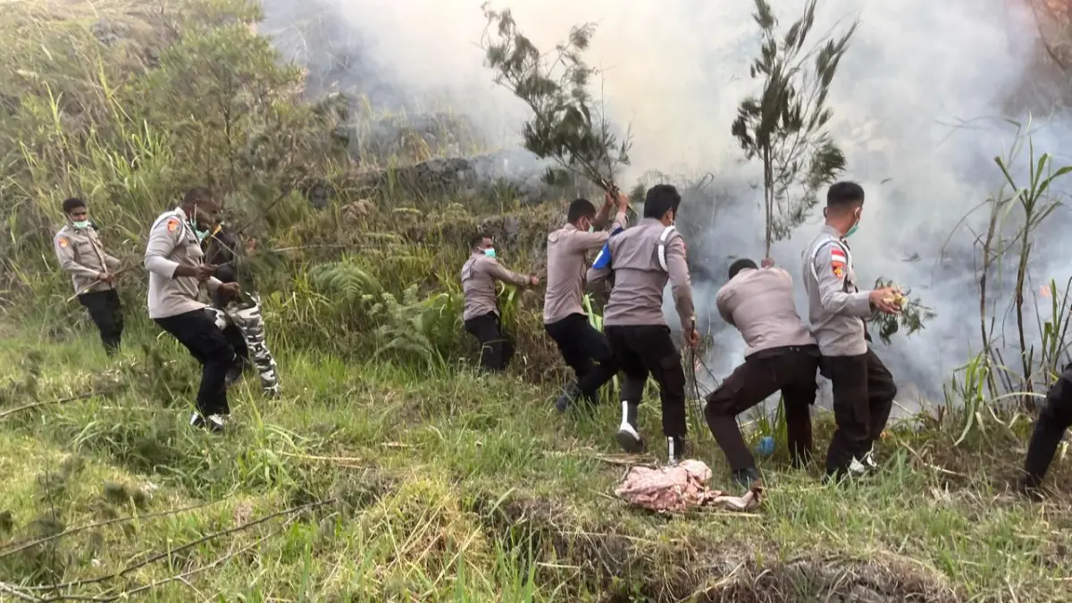 
Personel Polres Puncak saat memadamkan kobaran api kebakaran Hutan dan Lahan di Kabupaten Puncak, Senin (24/8/2026) (CEPOSONLINE.COM/POLRES PUNCAK)