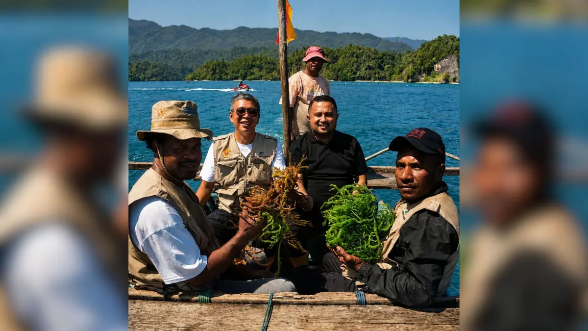 Ketua DPRP, Denny Henrry Bonai saat tanam rumput laut di Kampung Sarawandori, Distrik Kosiwo, Kabupaten Kepulauan Yapen, Sabtu (22/8/2026)(DPRP/CEPONLINE.COM)