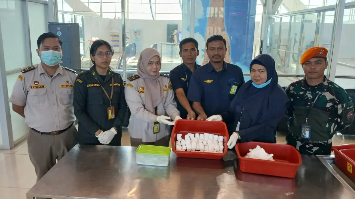 Petugas saat menunjukan telur burung paruh bengkok yang berhasil digagalkan saat akan diselundupkan dari Merauke menuju Surabaya melalui Cargo Bandara Mopah Merauke.(CEPOSONLINE.COM/HUMAS BKHIT) 