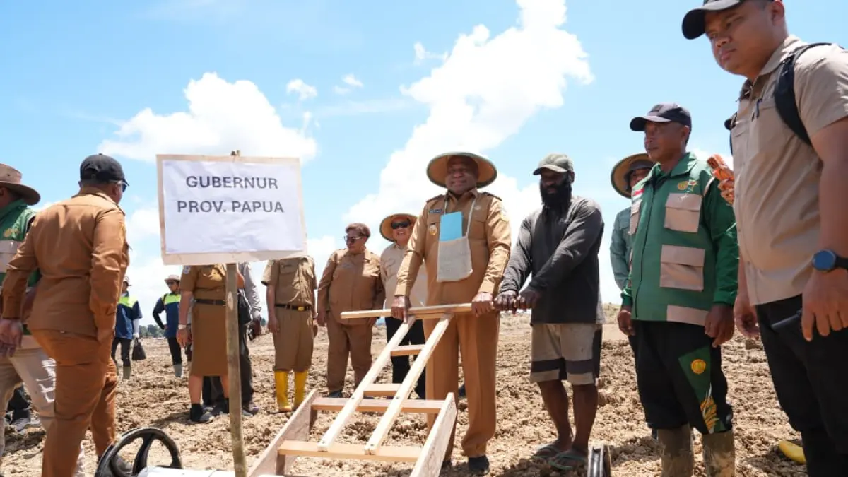 Gubernur Papua, Matius D. Fakhiri ikut menggarap lahan dalam program Cetak Sawah Rakyat di Distrik Senggi, Kabupaten Keerom, Senin (7/9/2026).