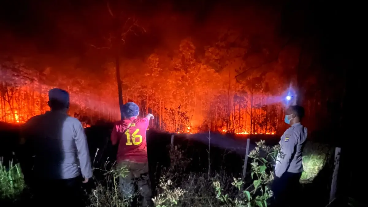 Upaya pemadaman kebakaran hutan dan lahan yang terjadi di Distrik Elikobel, Kabupaten Merauke, Rabu (16/9/2026).(CEPOSONLINE.COM/ISTIMEWA)