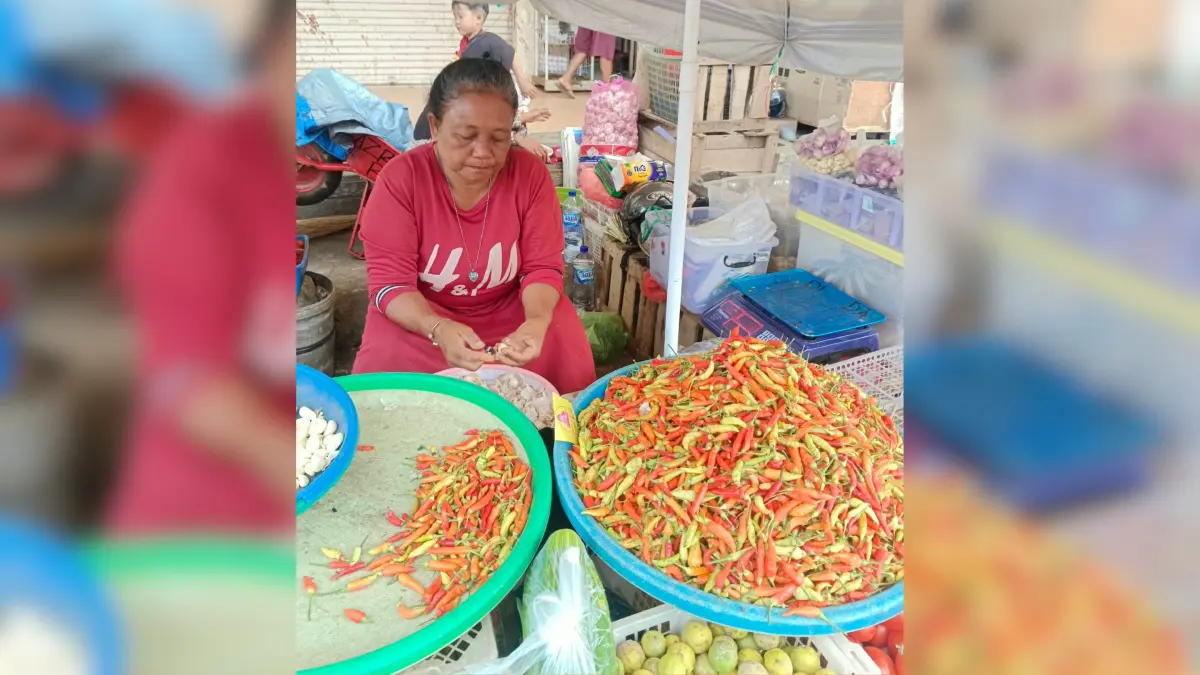 Salah satu pedagang cabai rawit di Pasar Wamanggu Merauke, Jumat (18/9/2026)&nbsp;




(CEPOSONLINE.COM/SULO)