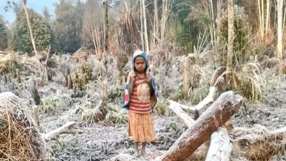 Kekeringan di salah satu Kampung di Dogiyai. (CEPOSONLINE.COM/ISTIMEWA)